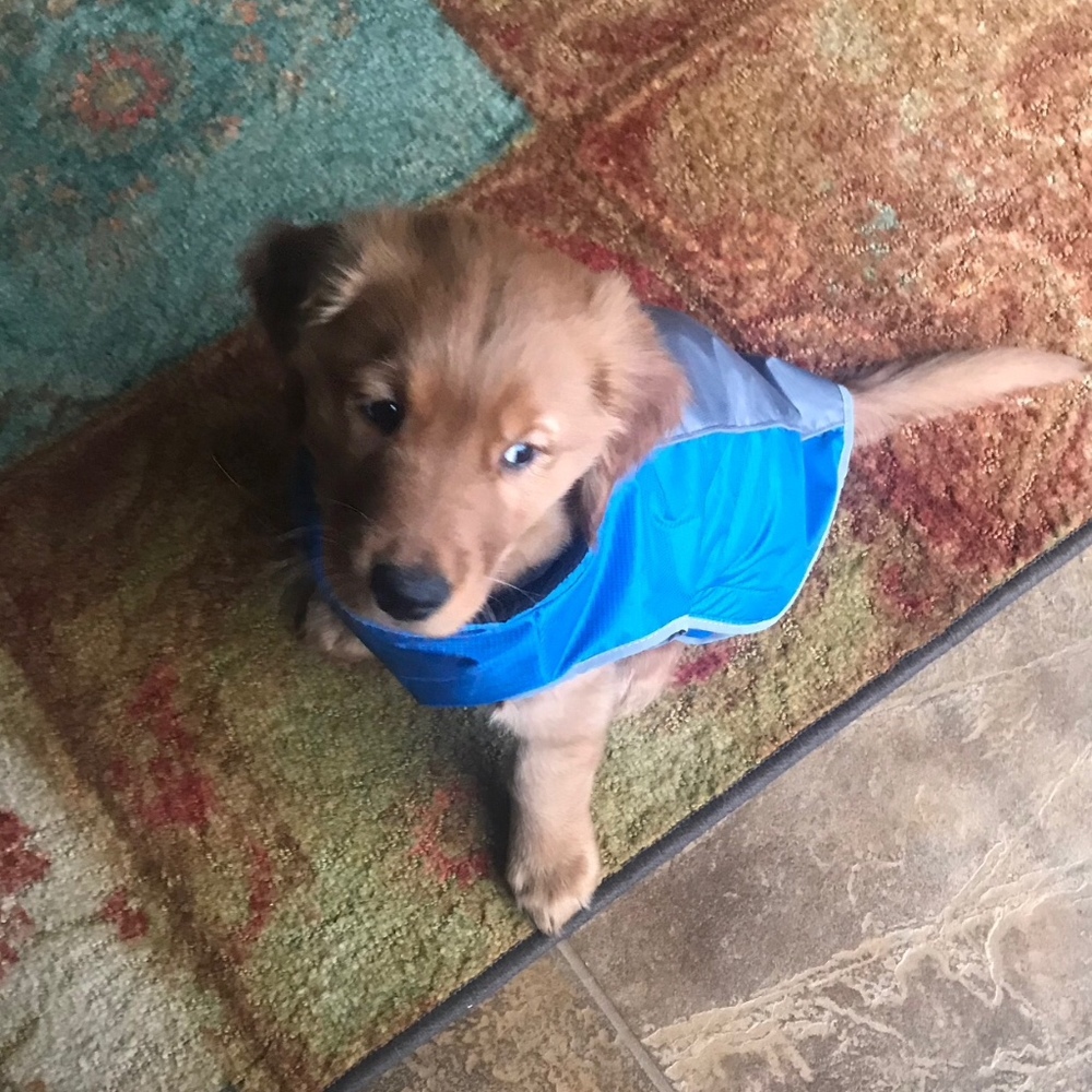 Meet your Posher, Angie